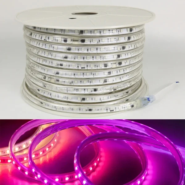 220V 5050 Driverless LED Strip 100m Roll IP65 Waterproof Rgbic Strip Lights RGB  Dream Color Lighting