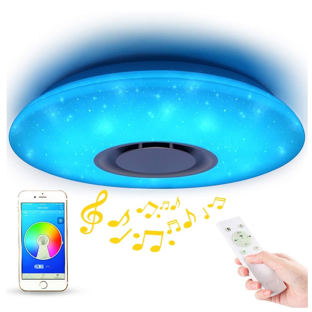 LED Music Ceiling Light with Speaker Smart APP Control 24W RGBW Dimmable Round Mount Lighting for Kitchen Bathroom