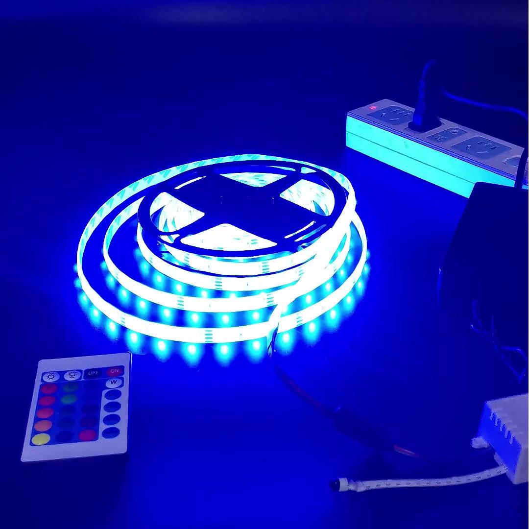 Hot Sale 12V 220V 2835 Chip Christmas Holiday Lights IP65 Outdoor Lighting RGB Smart Changing Six Colors 54 Led Lights
