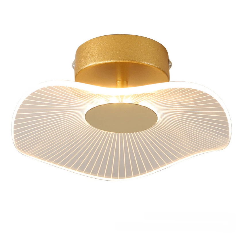 Modern Flush Mount Ceiling Light Acrylic LED Ceiling Lamp Fixture Chandelier